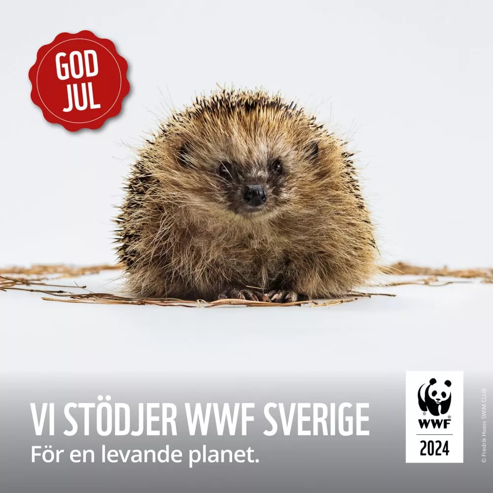 Vi på Makab önskar er en God Jul genom att stödja WWF Sverige